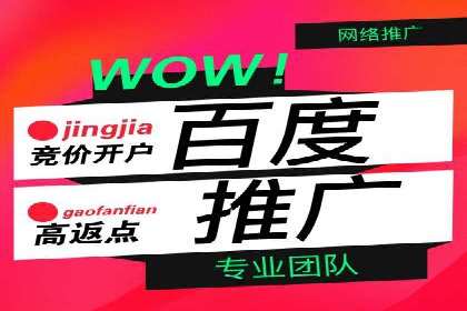某sem公司成功案例揭秘
